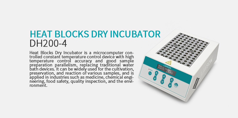 Dry Incubator DH200-4